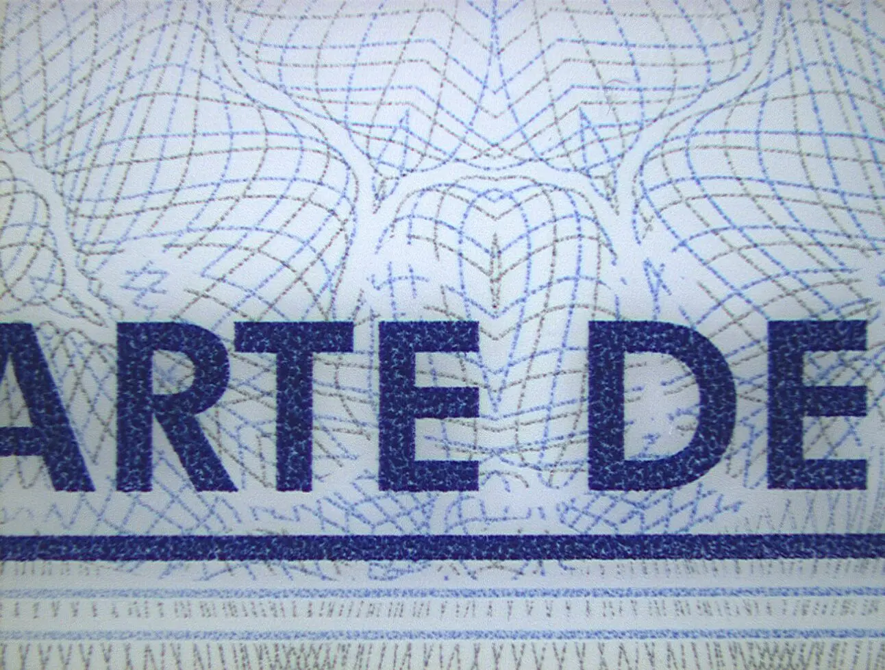 Grafica de securitate Grafica de securitate