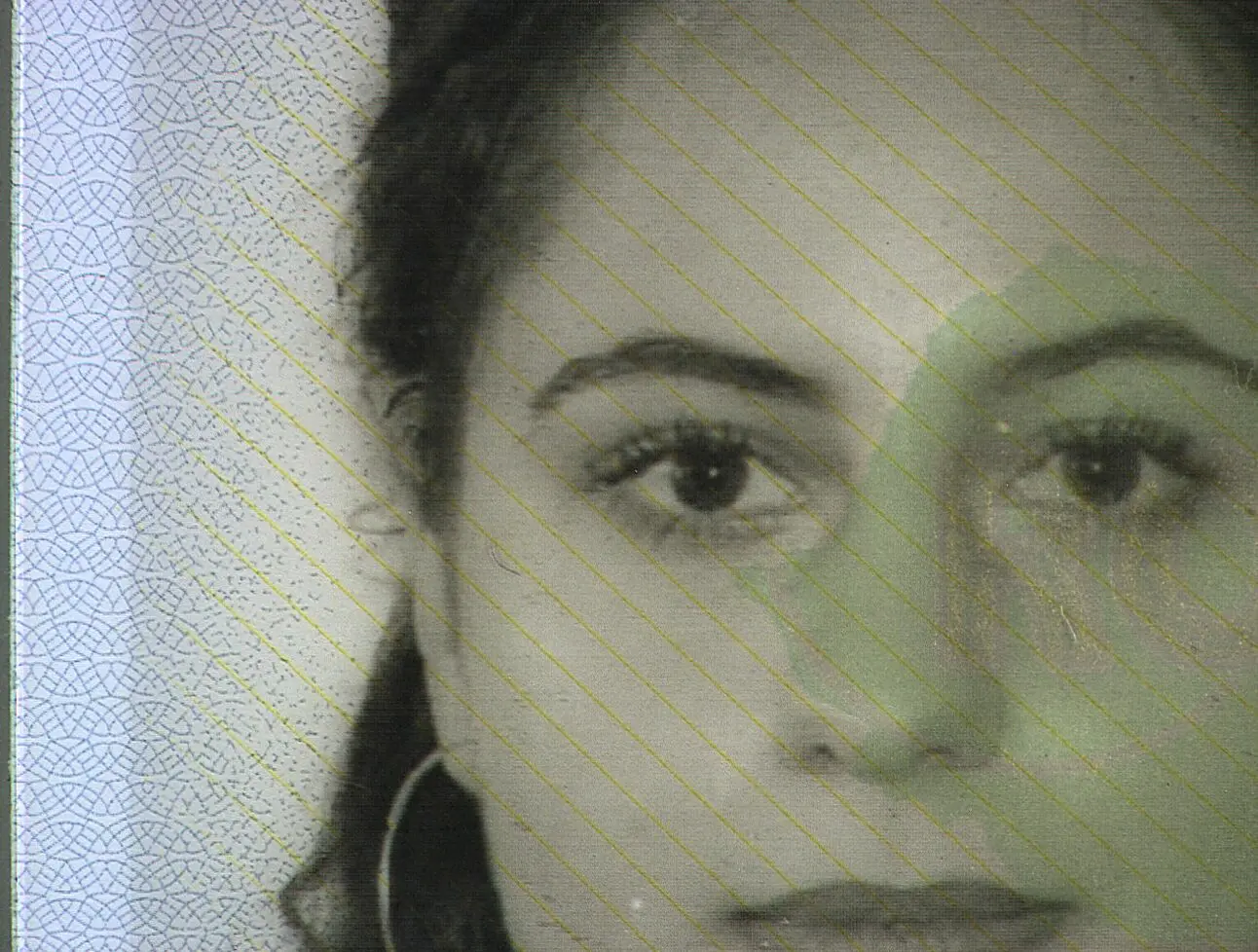 Tipar cu linii subtiri sub fotografie Tipar cu linii subtiri sub fotografie